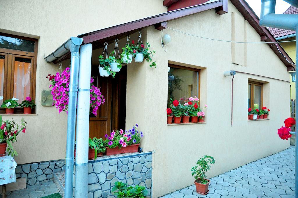 Casa Maria Hotell Gura Humorului Exteriör bild