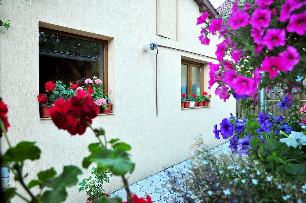 Casa Maria Hotell Gura Humorului Exteriör bild